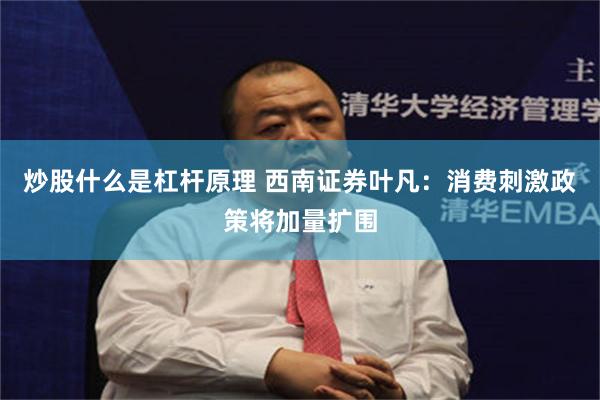 炒股什么是杠杆原理 西南证券叶凡：消费刺激政策将加量扩围