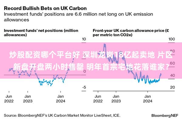 炒股配资哪个平台好 深圳龙岗18亿起卖地 片区新盘开盘两小时售罄 明年首宗宅地花落谁家？