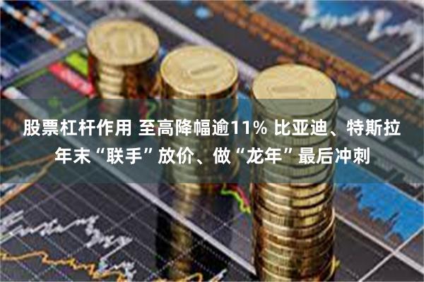 股票杠杆作用 至高降幅逾11% 比亚迪、特斯拉年末“联手”放价、做“龙年”最后冲刺