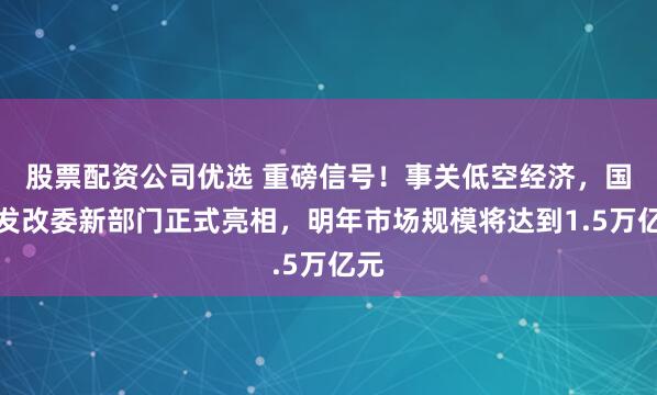 股票配资公司优选 重磅信号！事关低空经济，国家发改委新部门正式亮相，明年市场规模将达到1.5万亿元