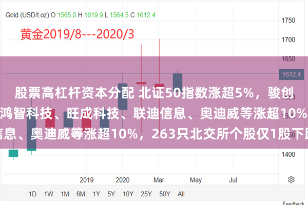 股票高杠杆资本分配 北证50指数涨超5%，骏创科技30CM涨停领涨，鸿智科技、旺成科技、联迪信息、奥迪威等涨超10%，263只北交所个股仅1股下跌