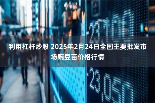 利用杠杆炒股 2025年2月24日全国主要批发市场豌豆苗价格行情